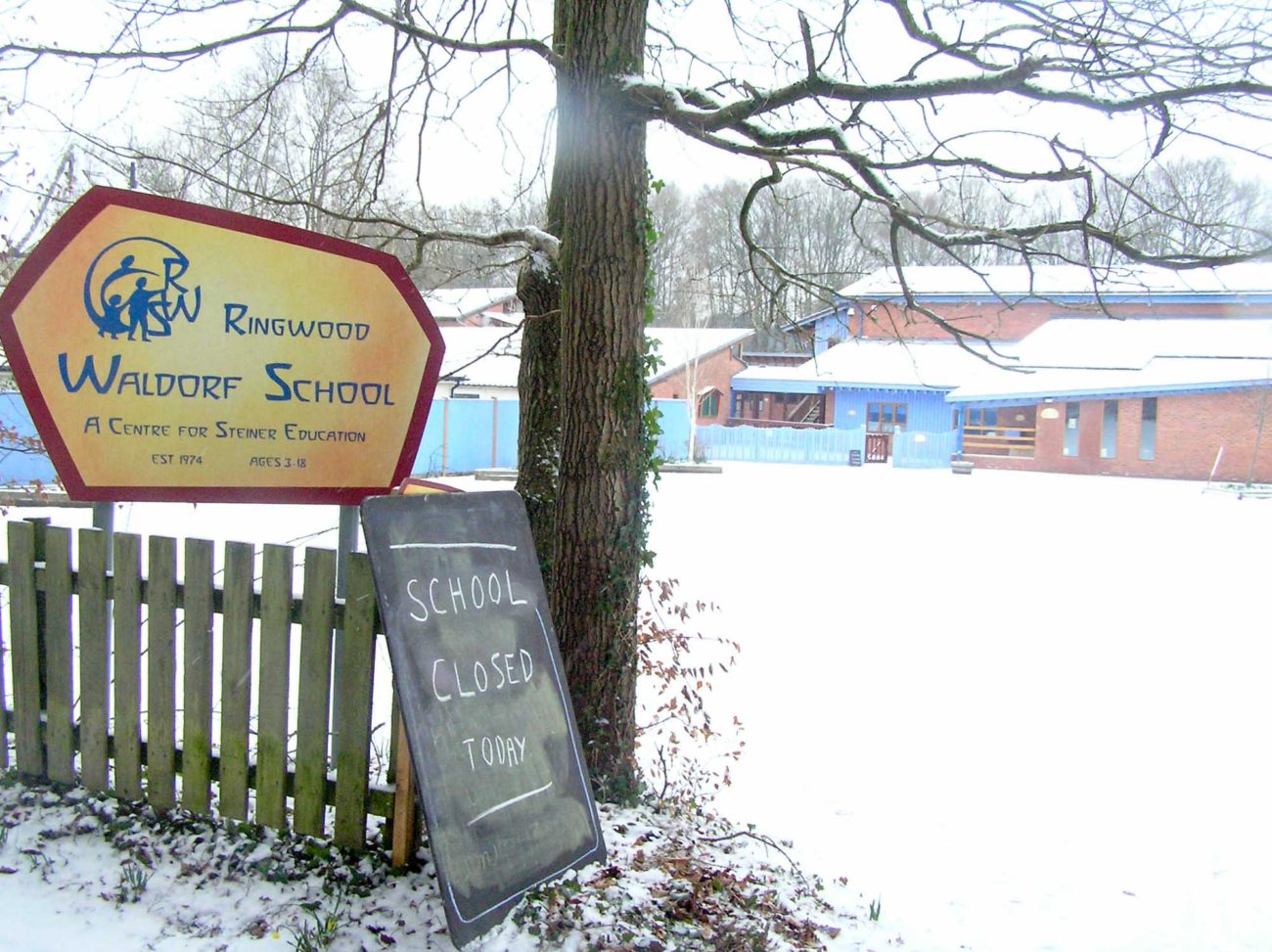 Snow covers Ringwood Waldorf School grounds