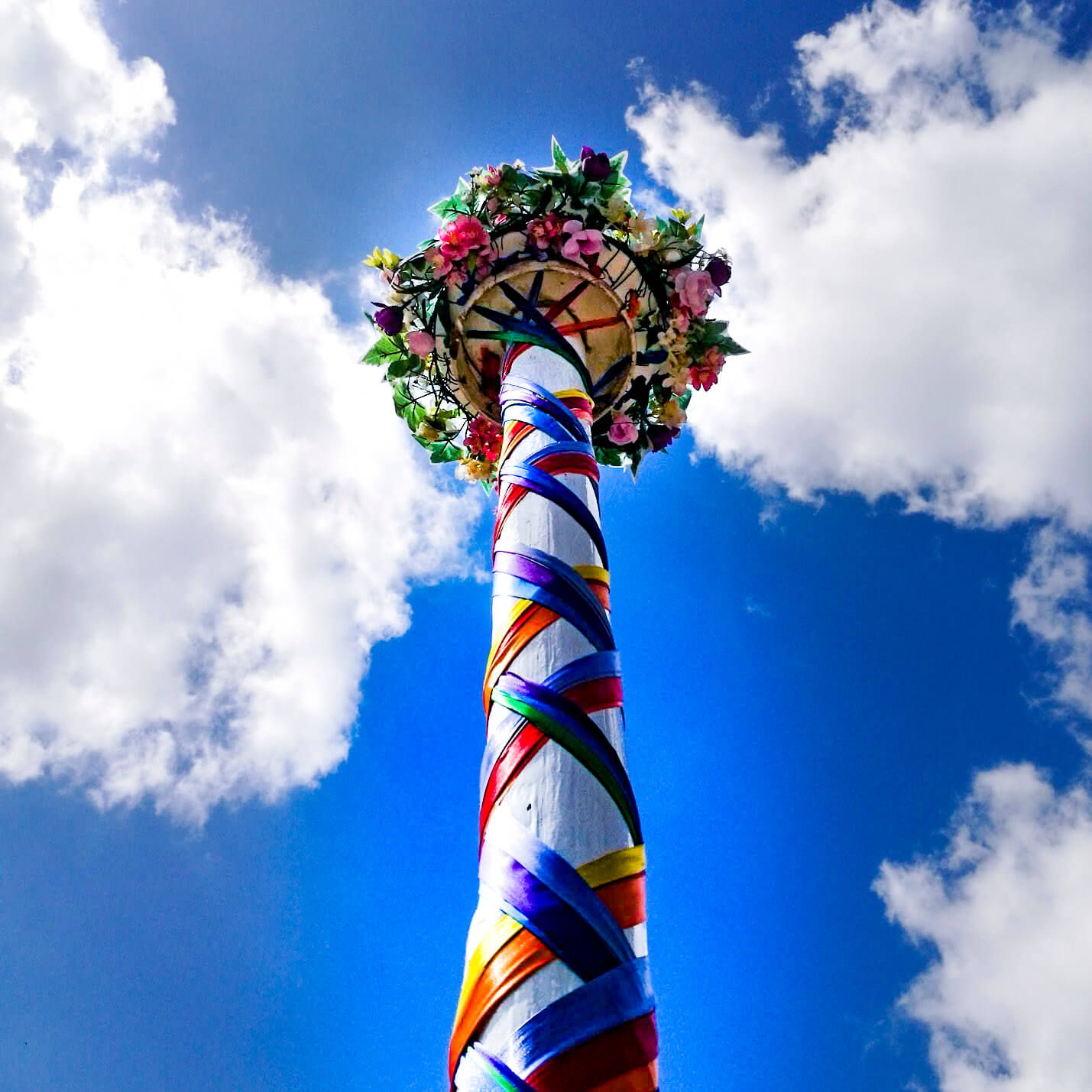 Maypole colours at the May Festival at Ringwood Waldorf School