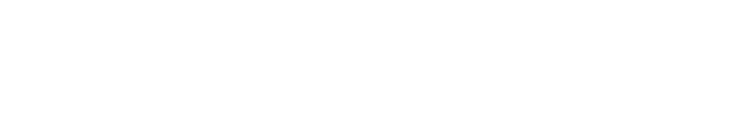 rws logo + text white