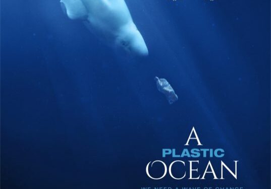 A Plastic Ocean film screening at RWS - poster
