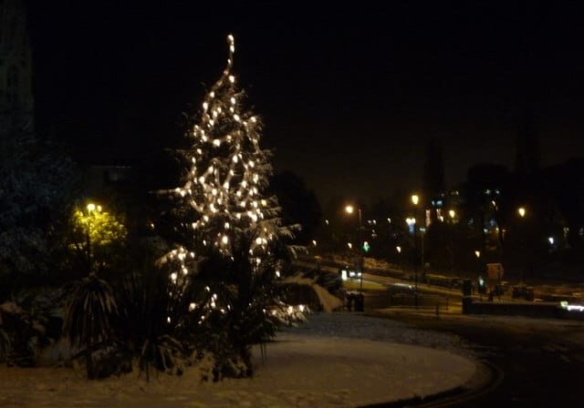 BCP Christmas Tree