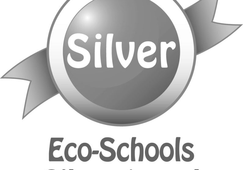 Eco-Schools Silver Award logo